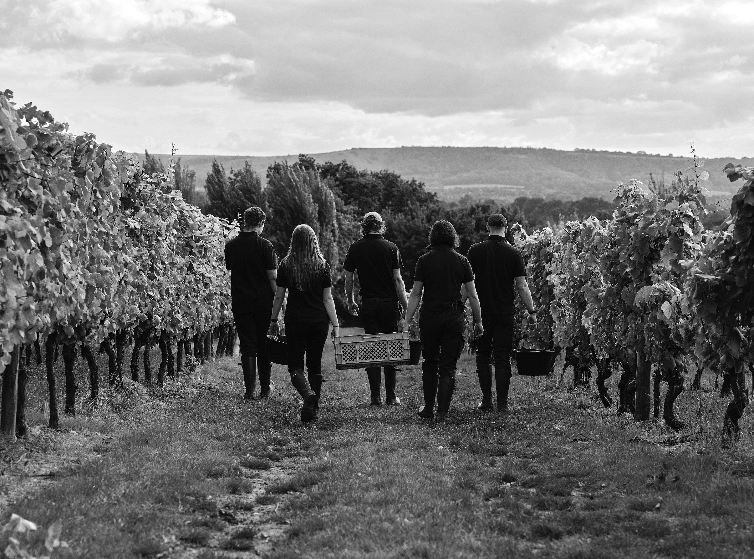 Screenshot 2023-02-22 at 15.50.04