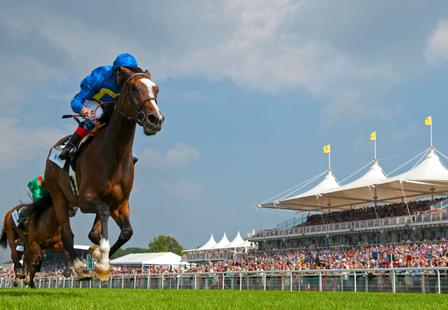 Goodwood Horse Journal 1