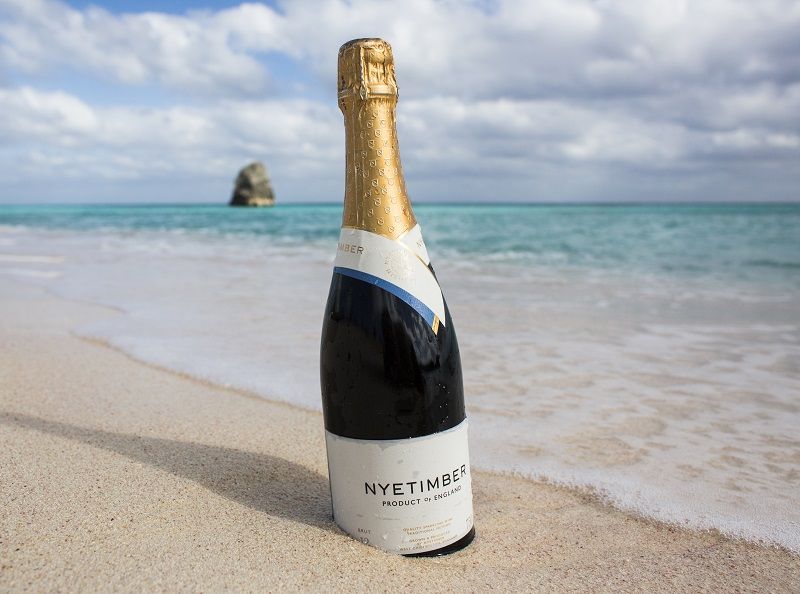 151019_BAR_Bermuda_006