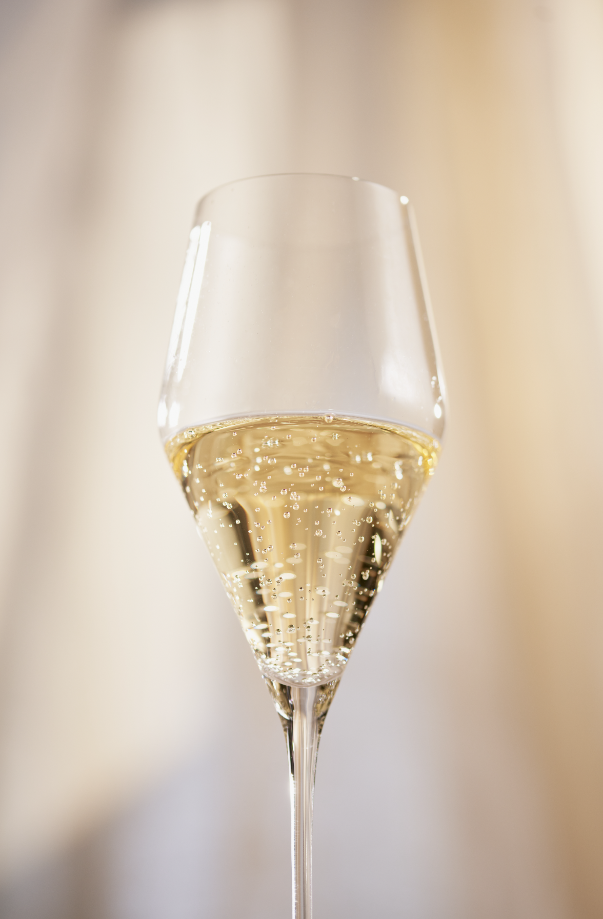 Screenshot 2023-02-27 at 16.42.27