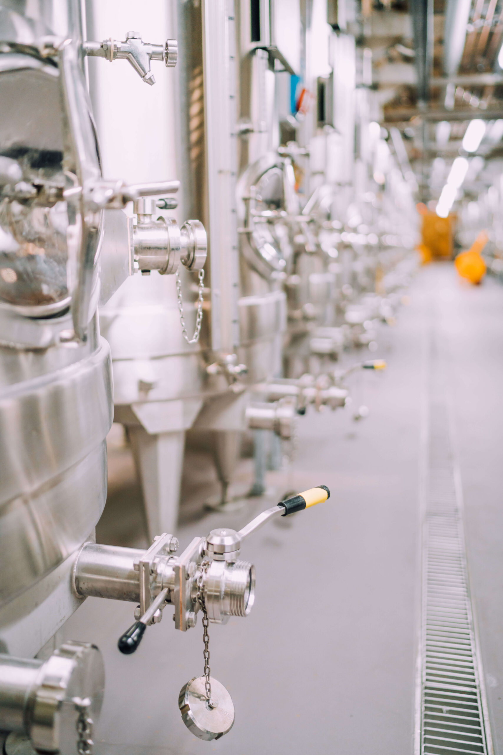 Nyetimber Pressing Centre 2