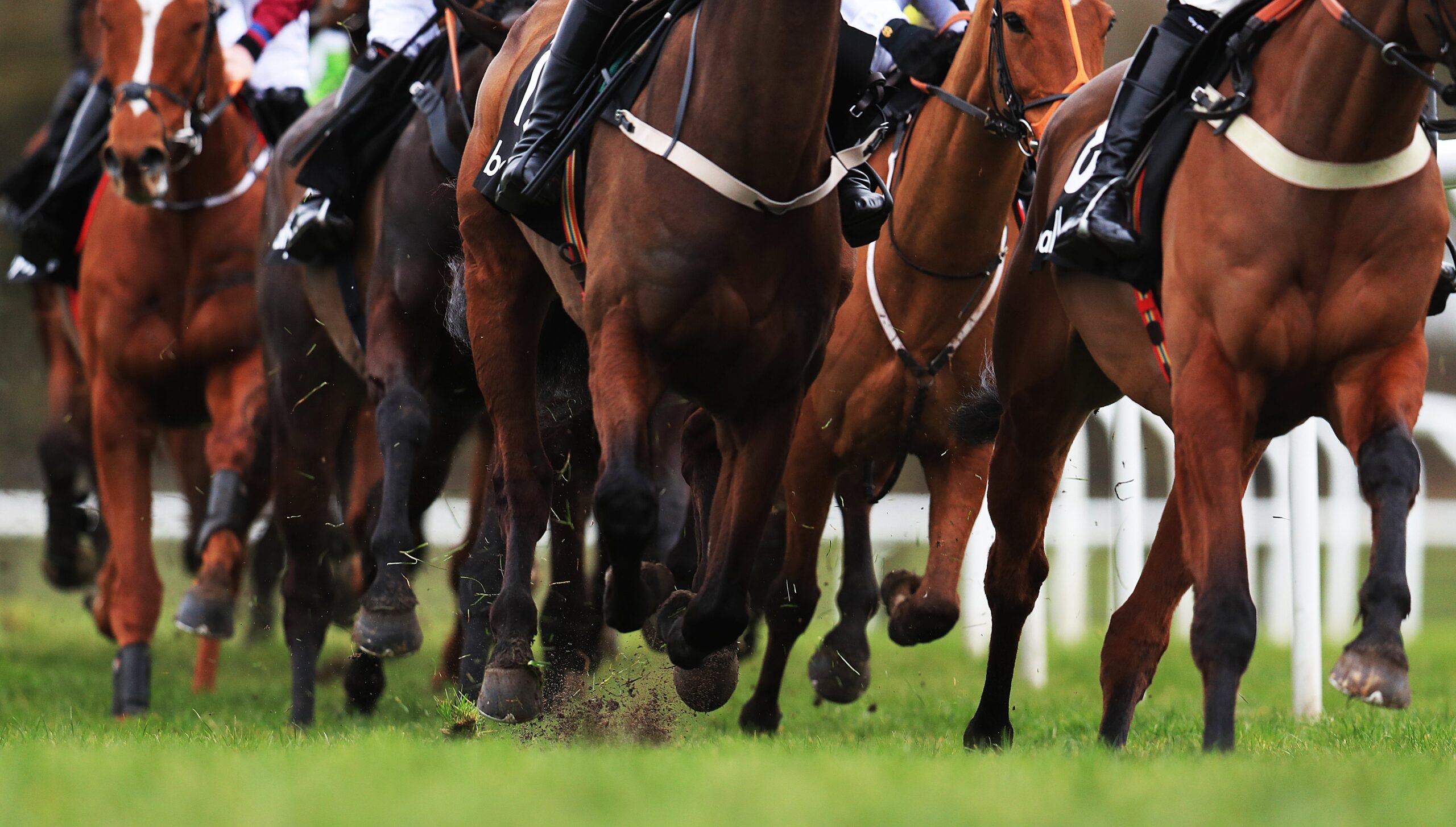 2018 Cheltenham Festival – Ladies Day – Cheltenham Racecourse