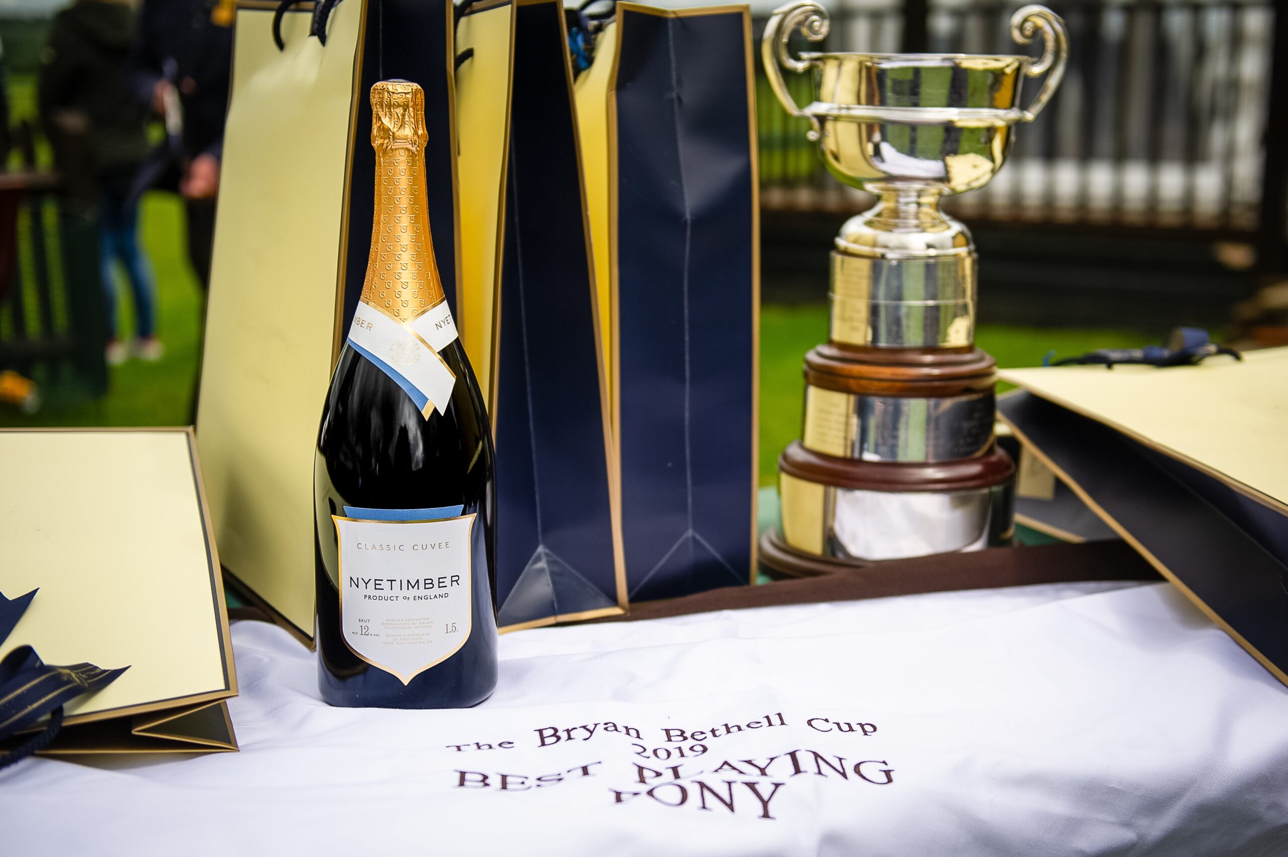 Nyetimber at Cowdray Park Polo Club