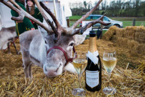 wine bottle and glasses, sat on a hay bale next to a reindeer