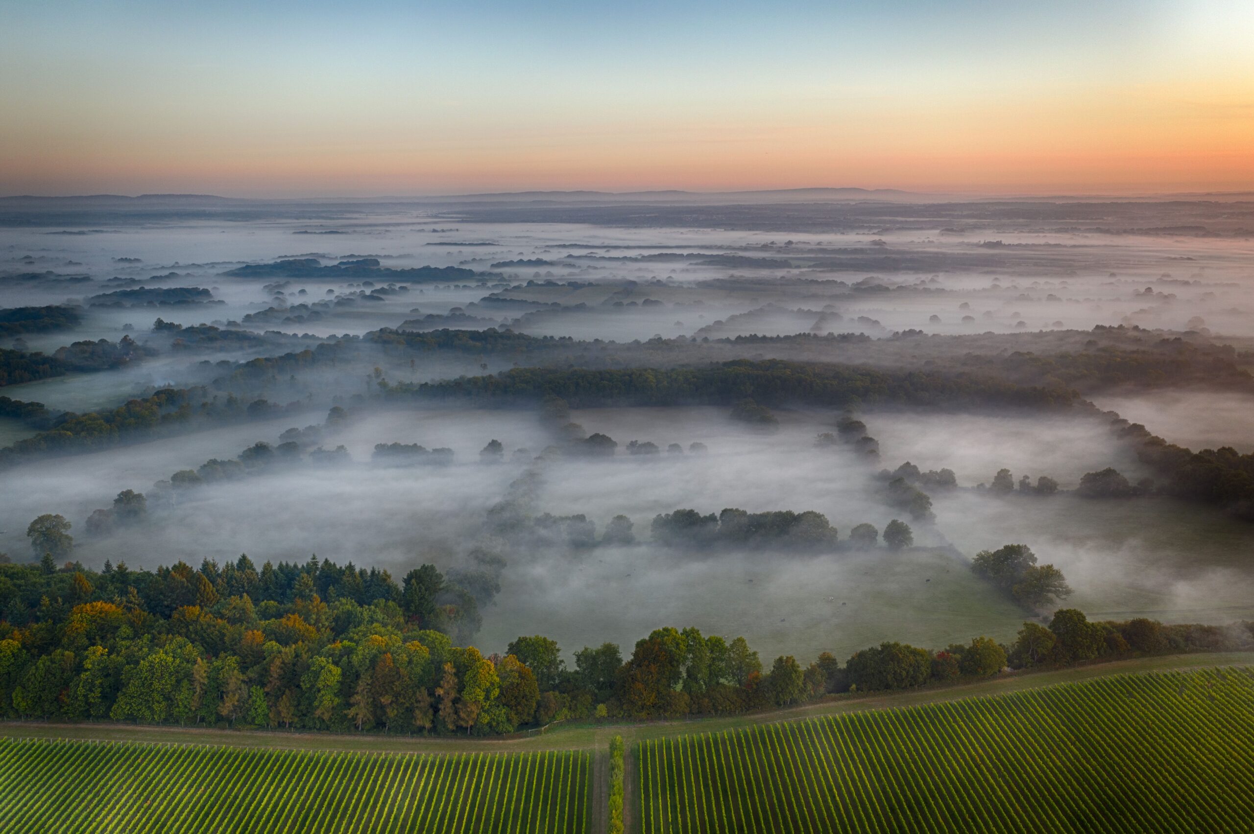 sunrise view of harvest fields