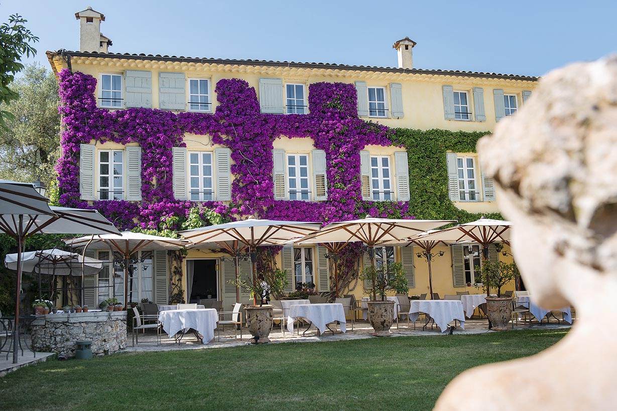 Terrasse Camélia & Glycine 1