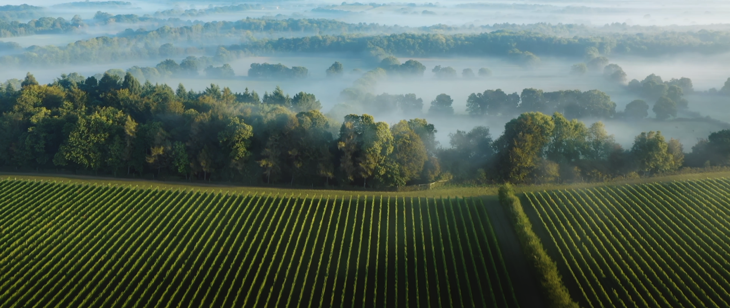 SDNP VIDEO COVER DRONE