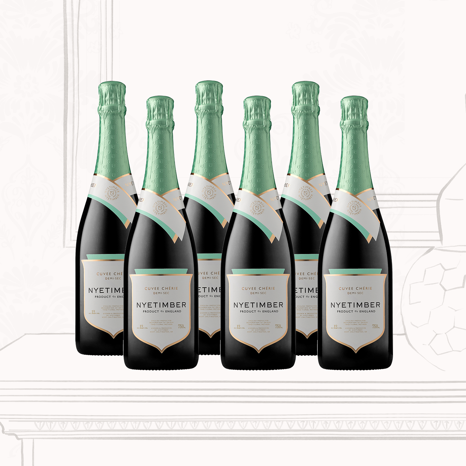 CCDS SIX BOTTLE CASE_MOBILE
