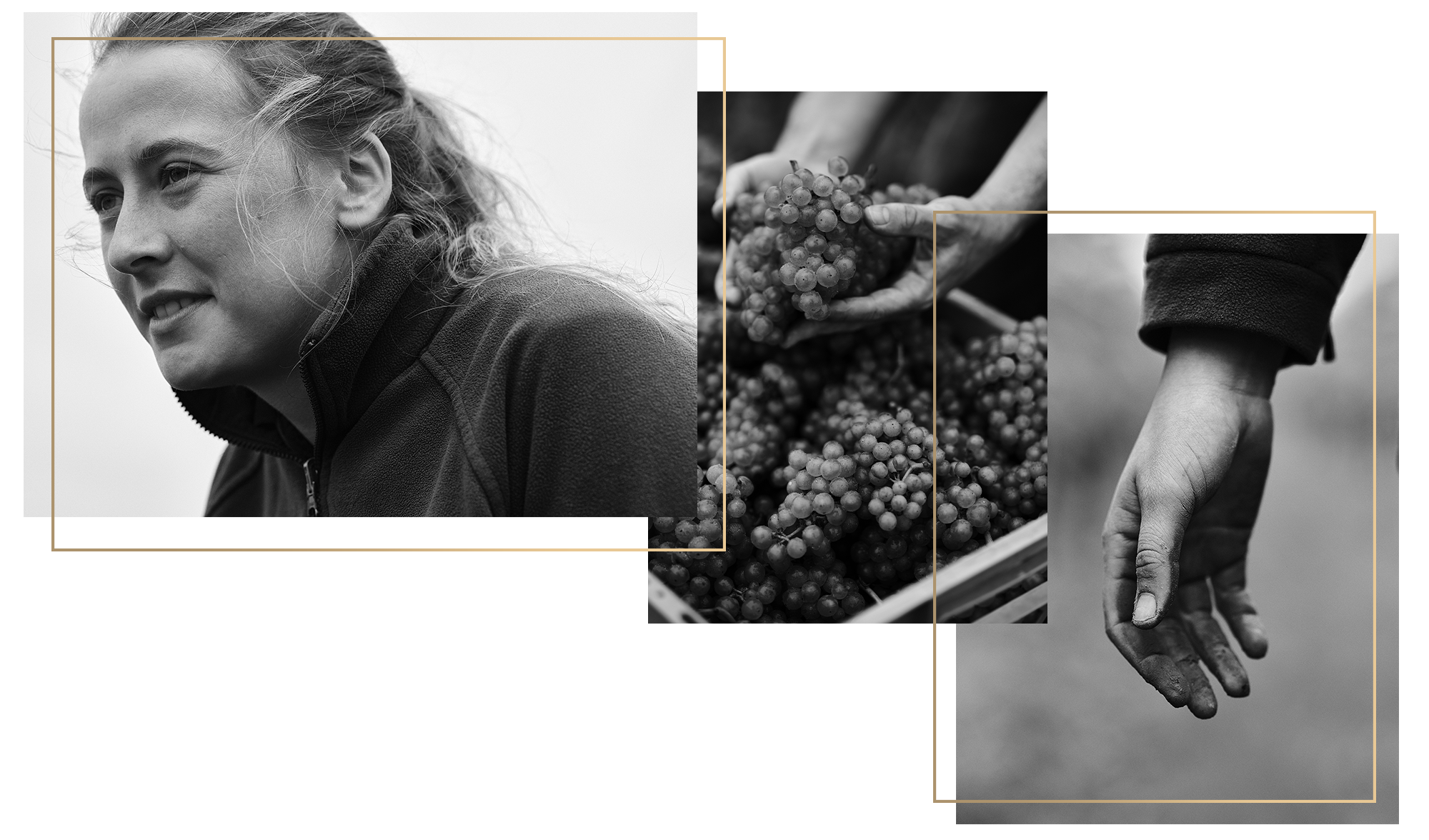 Meet our Team: Madeleine Cannon, Associate Viticulturist