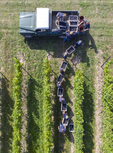 Nyetimber2020-07-368×500