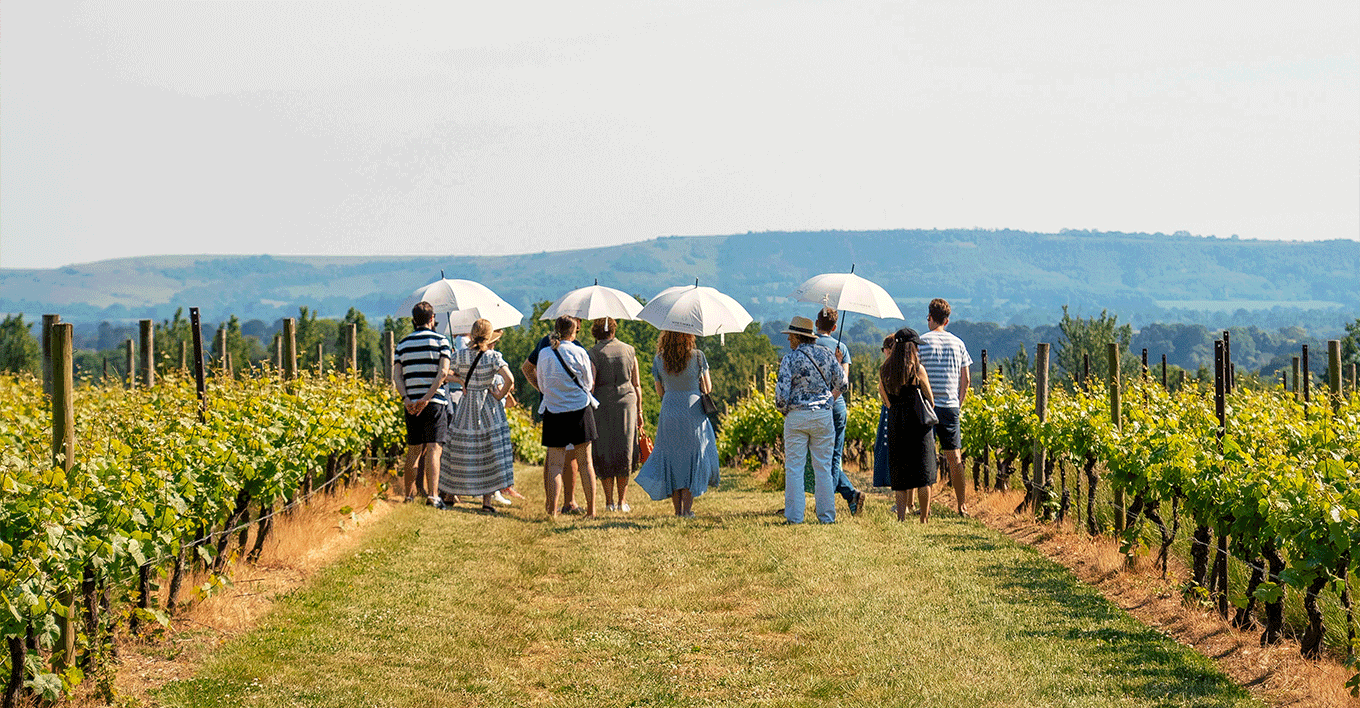 Nyetimber Experiences