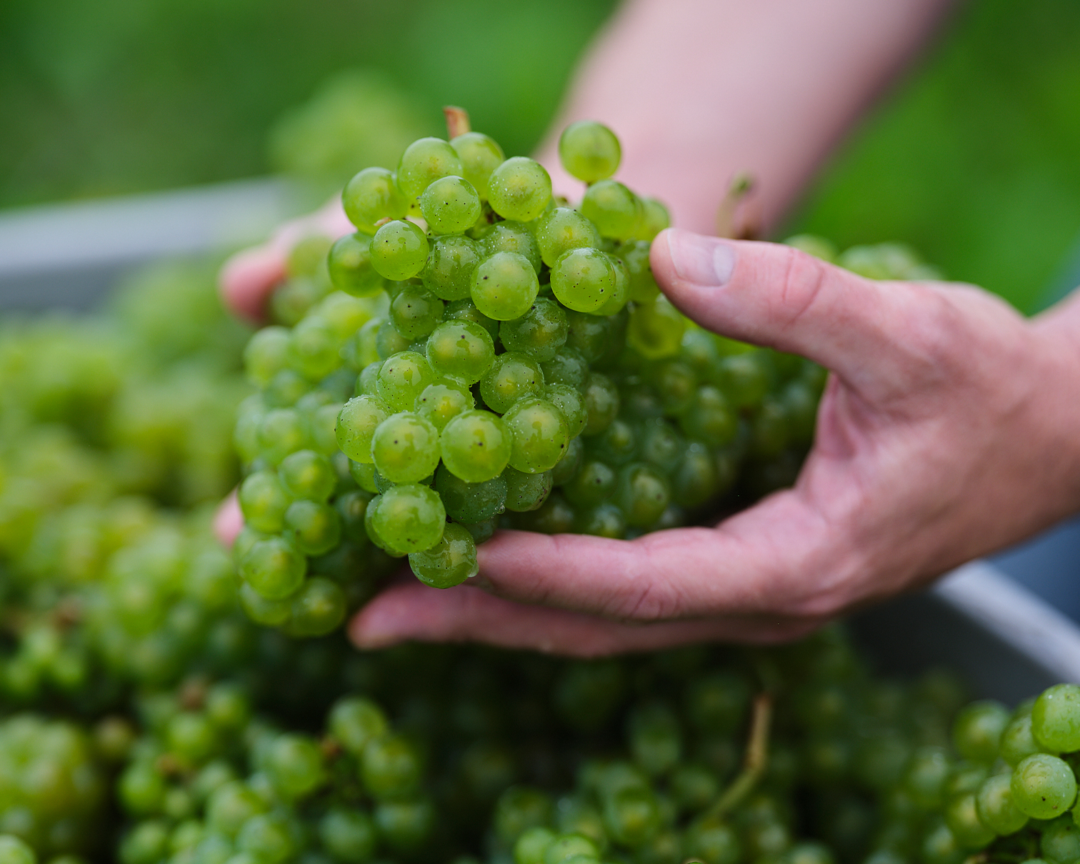 Untitled-4-1512×1209