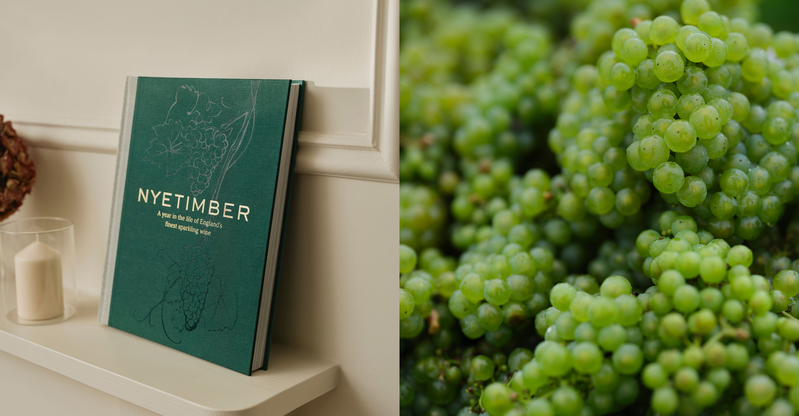 Hero_experiences_opt2-1360×708