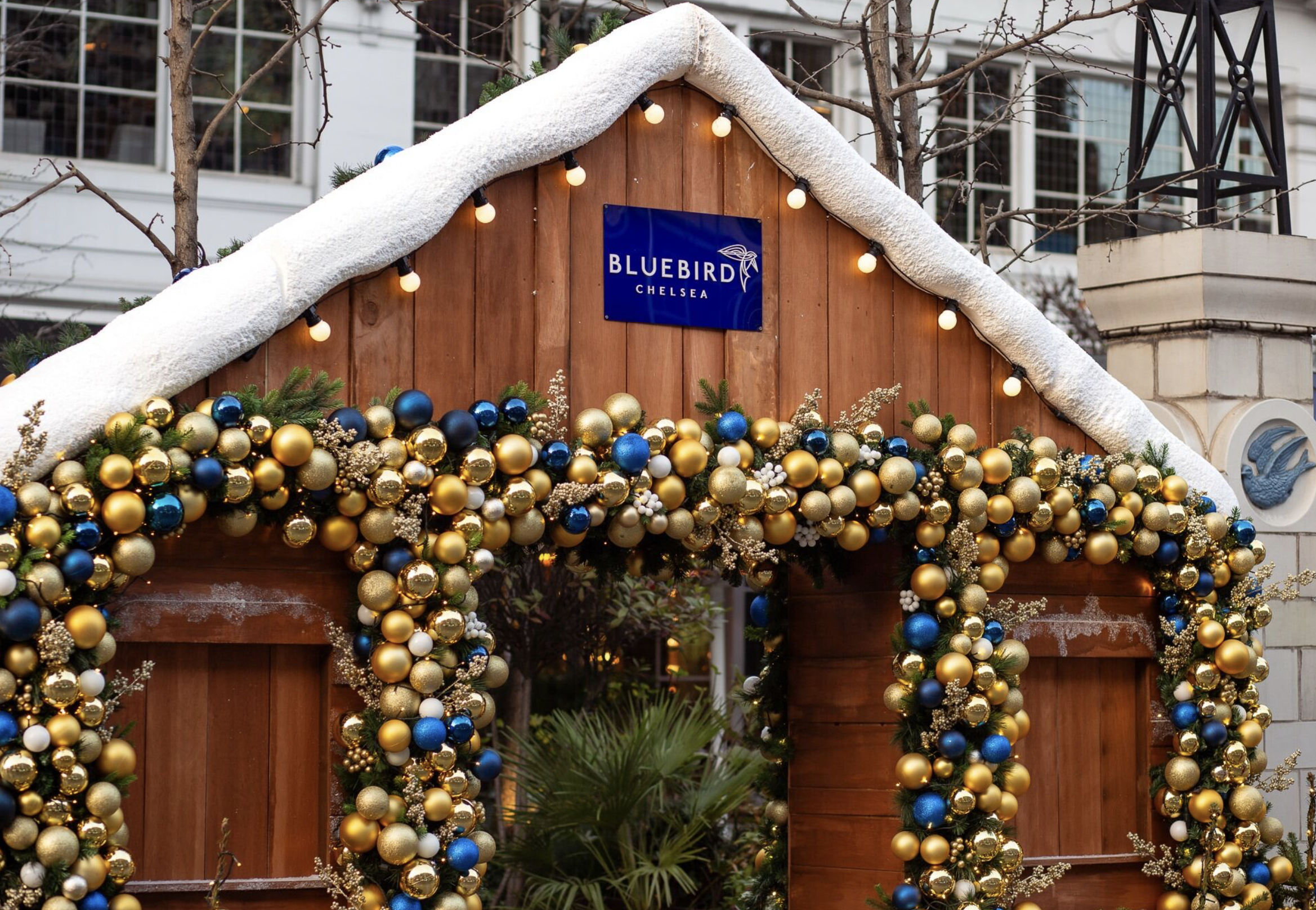 Screenshot 2024-12-12 at 12.15.56