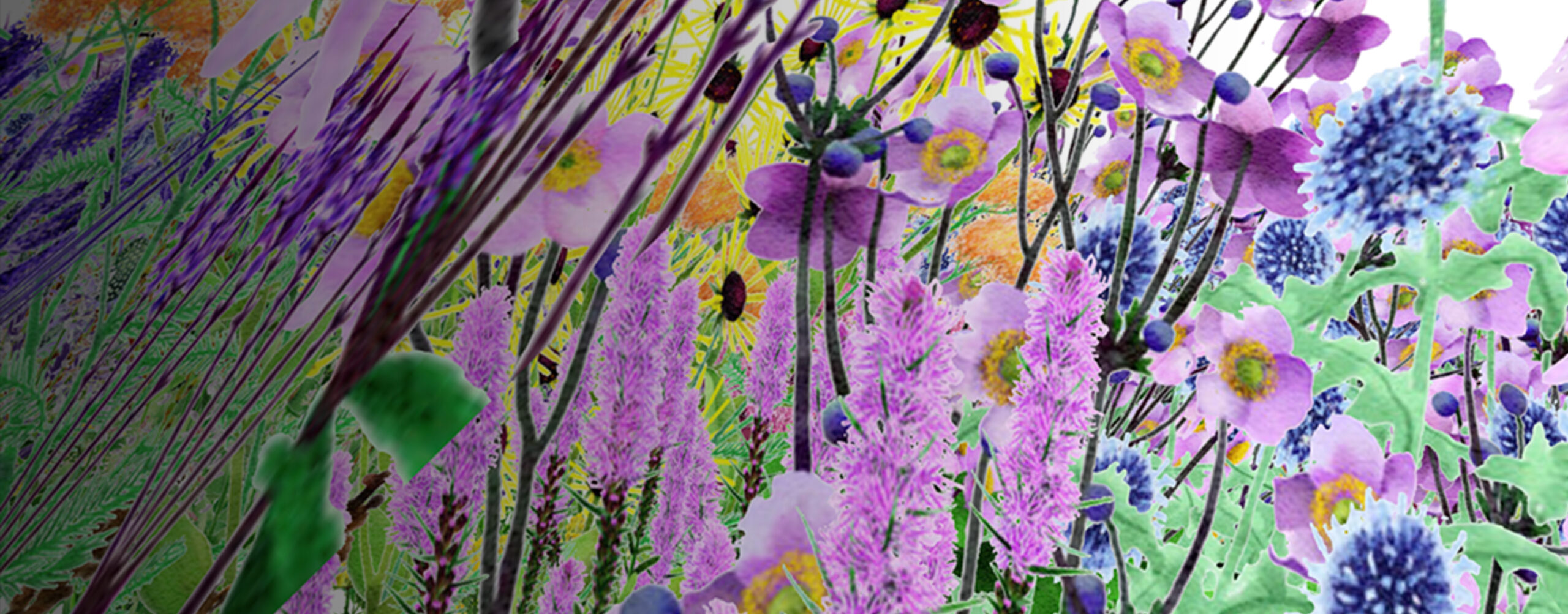 rfu-nyetimber-lockup-logo-1