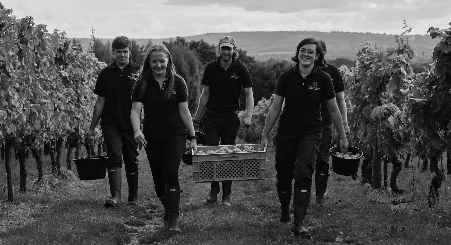 nyetimber harvest